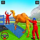 Animal Farm: Transport Truck APK