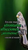 Versiculos de Animo স্ক্রিনশট 2