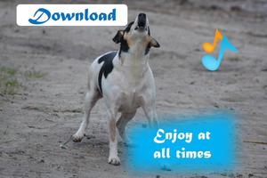 Dogs barking sounds পোস্টার