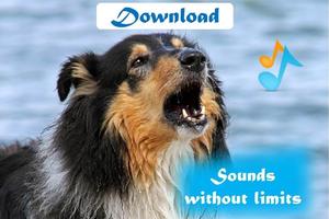 Dogs barking sounds স্ক্রিনশট 1