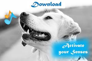 Dogs barking sounds স্ক্রিনশট 2