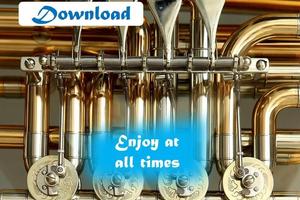 Instrumental ringtones free capture d'écran 2