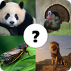 Animals Quiz APK