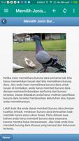 Tutorial Merawat Merpati Ekran Görüntüsü 1