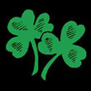 Bobby's Irish Pub APK