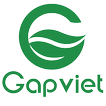 GapViet icon