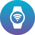 App Garmin Connect