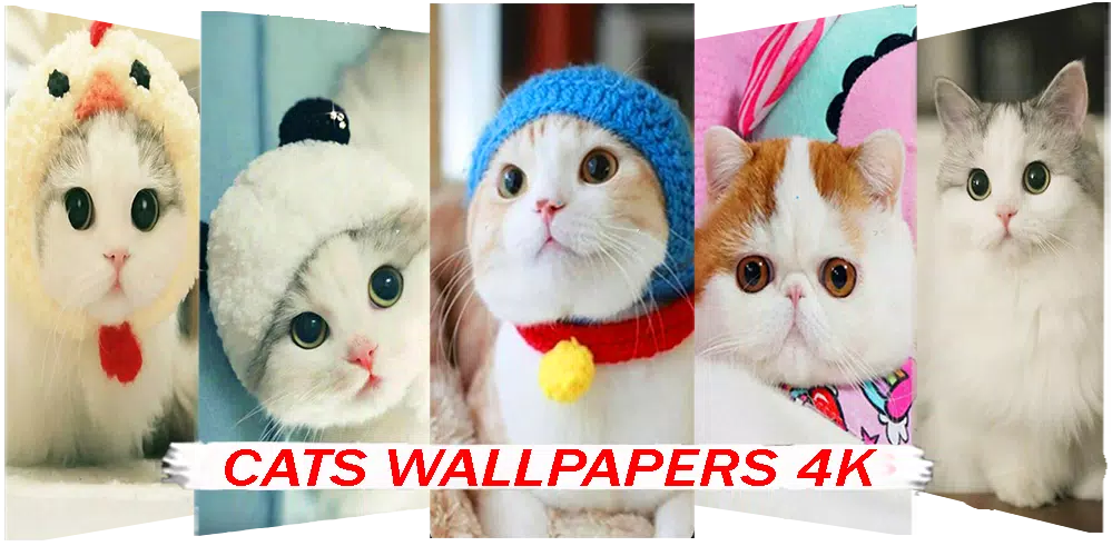 lockscreens & icons  Cute cat wallpaper, Cute emoji wallpaper, Iphone  wallpaper cat