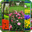 100+Garden Wallpaper HD APK