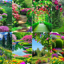 Wallpaper Taman Bunga APK