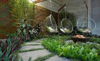 برنامه‌نما Garden Path Ideas عکس از صفحه