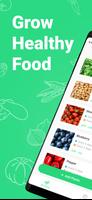 Veggify: Vegetable Guide Poster