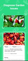 Veggify: Vegetable Guide captura de pantalla 3