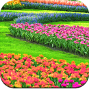 Garden Wallpaper HD APK