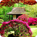 🏡 Beautiful Garden Wallpaper 🏡 APK