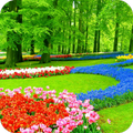 Garden Wallpapers