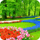 Garden Wallpapers APK