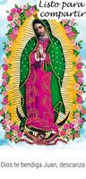 Fondos Virgen de Guadalupe ภาพหน้าจอ 2