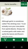 Garlic Daily screenshot 1