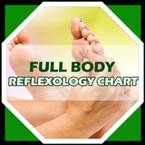 Reflexology Chart - Full Body