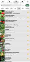 Poster iForest – Alberi e arbusti