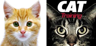 Cat Training APK