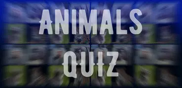 Mammals – Learn All Animals in