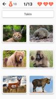 Zoogdieren screenshot 2