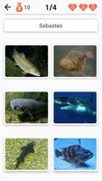 Animals ภาพหน้าจอ 2