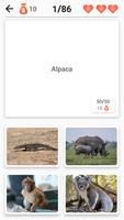 Animals تصوير الشاشة 3