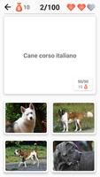 3 Schermata Razze canine - Quiz sui cani!