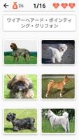 犬の品種 - 犬に関するクイズ！ ポスター