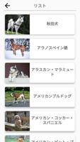 犬の品種 - 犬に関するクイズ！ スクリーンショット 1