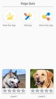 Dog Breeds - Quiz about dogs! plakat