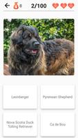 Dog Breeds - Quiz about dogs! ภาพหน้าจอ 1