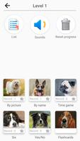 Dog Breeds - Quiz about dogs! 截图 2