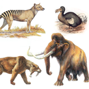 Extinct animals, endangered sp APK