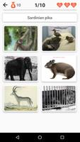 Extinct animals, endangered sp poster