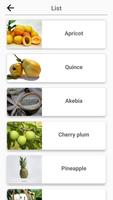 Fruits and Vegetables, Berries تصوير الشاشة 1