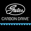 Carbon Drive