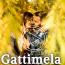 Gattimela Video Status Kannada App APK