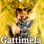 Gattimela Video Status Kannada App