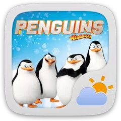 Penguins Of MG Weather Widget APK download