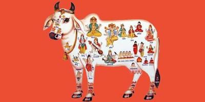 Gau Dham Mobile App- "Gau Mata Rastra Mata" captura de pantalla 2