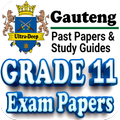 Grade 11 Gauteng Past Papers
