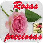 Imagenes De Rosas Preciosas Gratis Rosas HermosaS أيقونة