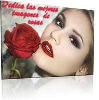 Imagenes De Rosas Preciosas Gratis Rosas Hermosas captura de pantalla 2