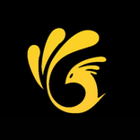 Gayathri Reddy - Sarees