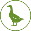 GazdaForm icon