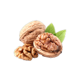 Gazioğlu Şıra APK